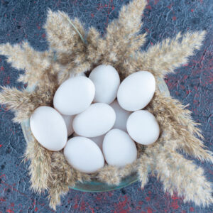 Ouã de rata crescute in aer liber